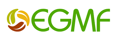 EGMF